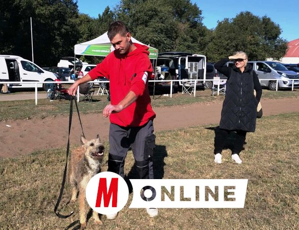 Varga László magyarországi tenyésztő a belga juhászkutya, a laekenois példányával (Tóth Péter felvétele)