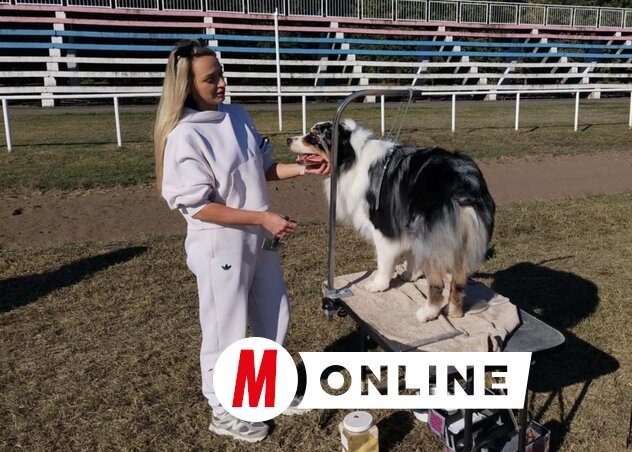 Petra Pekeć Horvátországból hozta el ausztrál juhászkutyáját (Tóth Péter felvétele)