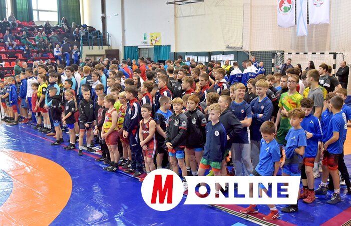 Küzdelemre készen (Fotó: Gergely Árpád)