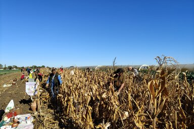 Horváth Zsolt felvétele