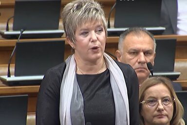 Kovács Elvira hangsúlyozta, hogy Magyarország és Szerbia között számos területen magas szintre sikerült emelni az együttműködést (Fotó: Screenshot/YouTube)