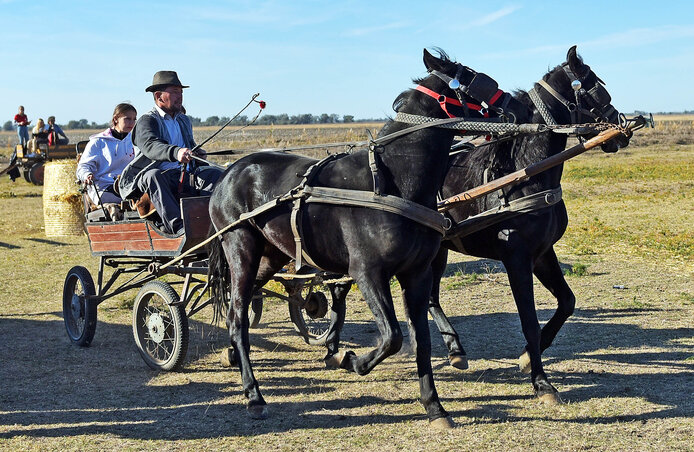 Ahogy régen is, ami szép, az szép (Gergely Árpád felvétele)