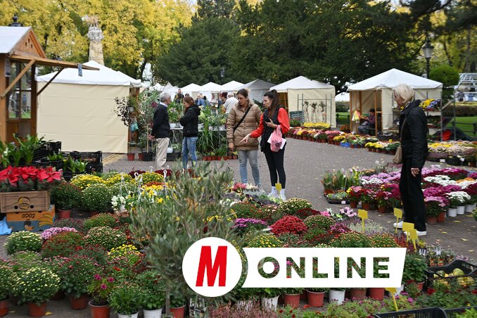 Molnár Edvárd felvétele