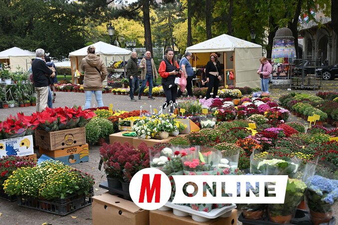 Molnár Edvárd felvétele