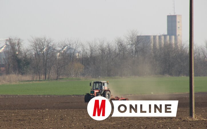 Porzik a föld a határban