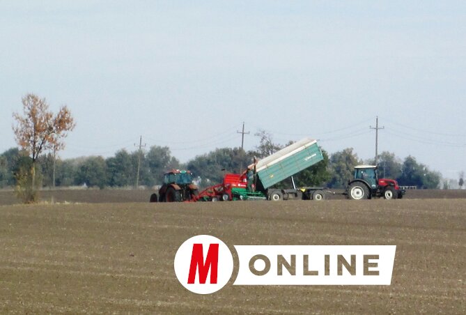 Az előző években a korábban elvetett gabona esetében gondok jelentkeztek, rovarkártevők jelentek meg