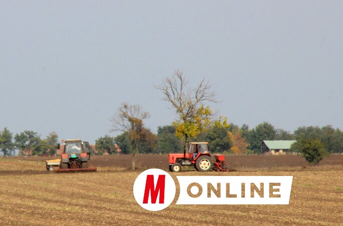 A vetéstervet sokan az őszi kalászosok javára átírták, de most ismét dilemma előtt állnak