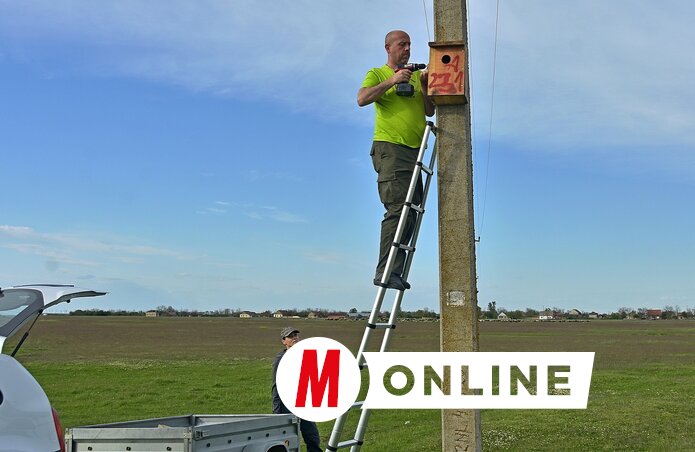 Ágoston Attila odúszerelés közben (Gergely József felvétele)
