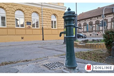 Molnár Edvárd archív felvétele