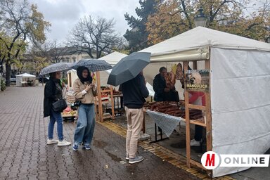 Kolovity Edina felvétele