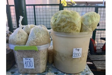 Fotó: Kolovity Edina