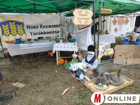 Libanapok Tiszaszentmiklóson