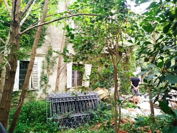 Az üdülőhely mellett erdő is van, ez nem beépíthető terület (Fotó: Nagykikinda önkormányzata)