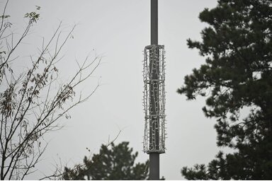 Fotó: Molnár Edvárd