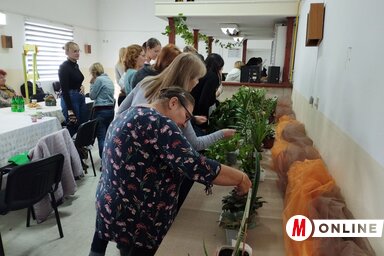 Növénymustra az Újfalu helyi közösség épületében (Fotó: Lukács Melinda)