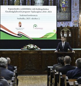 Konferencija za evaluaciju prvog ciklusa ekonomskog razvoja u Subotici (arhivski snimak Edvarda Molnara)