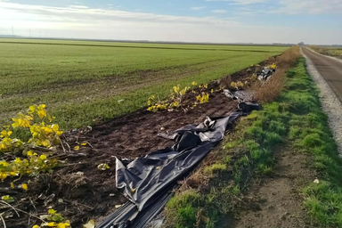 Privát archívum/Homolya Ákos