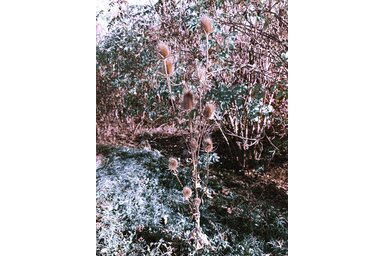 Fotó: L. Móger Tímea