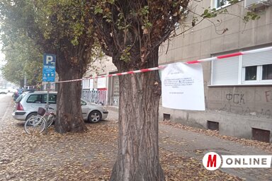 A kiöregedett nyárfákat fiatal, ellenálló facsemetékkel váltják fel (Fotó: Szeli Balázs felvétele)