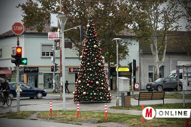 A temerini központ már november végén karácsonyi hangulatot árasztott a feldíszített fenyővel (Fotó: Vámos Arnold felvétele)