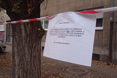 Rendezés. Szép, óvatos megfogalmazás, a gyakorlatban favágást jelent / Fotó: Szeli Balázs