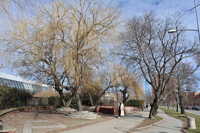 Emlékszünk még ezekre a fákra a Lazar cár sugárút mentén? A teljes zöldövezetet eltörölték azzal az ürüggyel, hogy helyére parkot „építenek”. Nos, a park már megvolt, az „építünk” szón van a hangsúly. A pénzátutalási folyamatokon… Kit érdekel már egy fa?