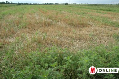 Ótos András felvétele