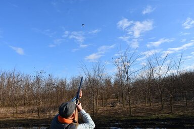 A Vajdaság Erdői Közvállalat a jótékonysági esemény támogatójaként 200 fácánt ajánlott fel, ugyanis fácánvadászat a program (Fotó: Vajdasági Magyar Vadászok Társasága)