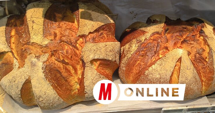 Ez nem zsömle, hanem két óriás, mintegy két-két kilogrammos kenyér. Mórahalom boltjaiban kapható. Nemcsak szép, hanem ízletes is (Dávid Csilla felvétele)