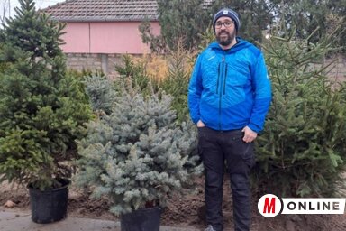 A Vikumak faiskola kínálatának egy része (Fotó: Vidács Hajnalka)