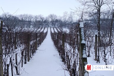 Hótakaró borítja a szántóföldeket, a kerteket (Fotó: Tóth Péter felvétele)