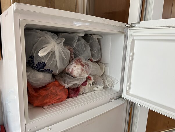 Fotó: Halász Gyula