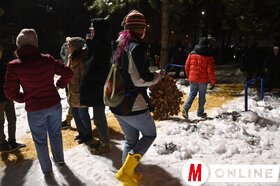 Badnjakégetés Újvidéken