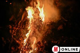 Tölgyfaágégetés Szabadkán