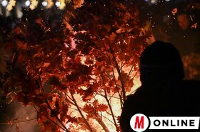 Tölgyfaágégetés Szabadkán