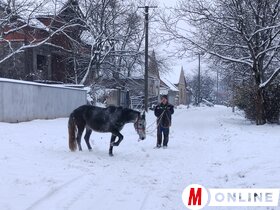 Kishegyes is fehérbe öltözött