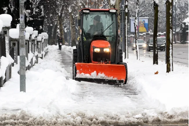 Beta/Milan Obradović