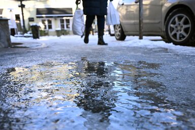 Fotó: Molnár Edvárd