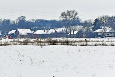 Gergely Árpád - A hótakaróban akár –30 fokon is áttelel a növény, hiszen a hó megvédi