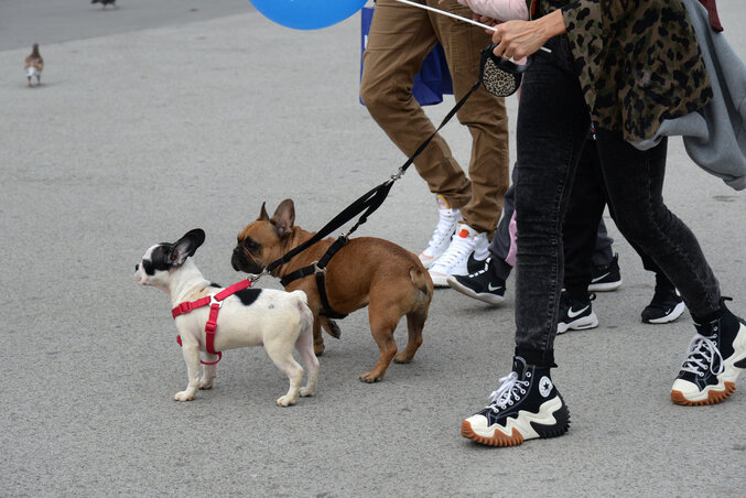 Dávid Csilla felvétele