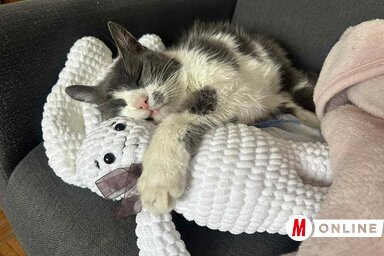 Ótos András felvétele