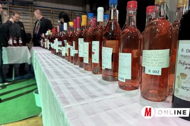 A hétvégén a temerini Vince-napi Nemzetközi Borfesztiválon ismételten bebizonyosodott, hogy a bor nem készül, hanem születik (Fotó: Vámos Arnold felvétele)