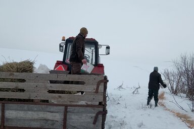 Etetik a vadakat a pacséri határban/ Fotó: