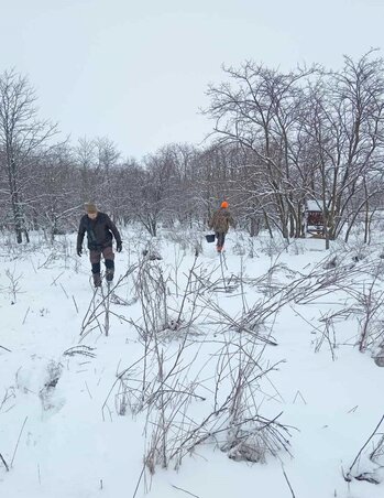 Fotó: Nemes Norbert