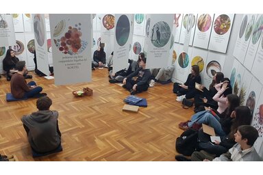 A balassagyarmati gimnazisták a haikuk világában/Fotó: Magyarság Háza