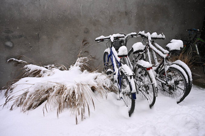 Fotó: Molnár Edvárd