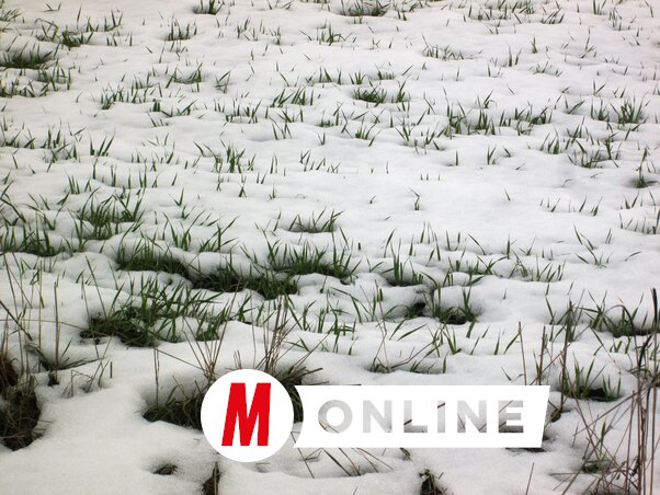 Évek óta nem volt ilyen a határ (Fotó: Tóth Péter)