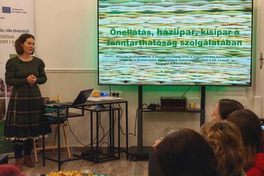 Horváth Zsolt felvétele