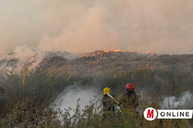 Újvidéken nagy gondot jelent a hulladék kezelése, a város szélén, az autóút és a Temerinbe vezető országút közötti részen lévő szeméthegy egyre nagyobb, és viszonylag gyakran ki is gyullad