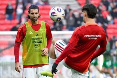 A csoportmérkőzéseket szeptembertől novemberig rendezik meg (Fotó: MTI)